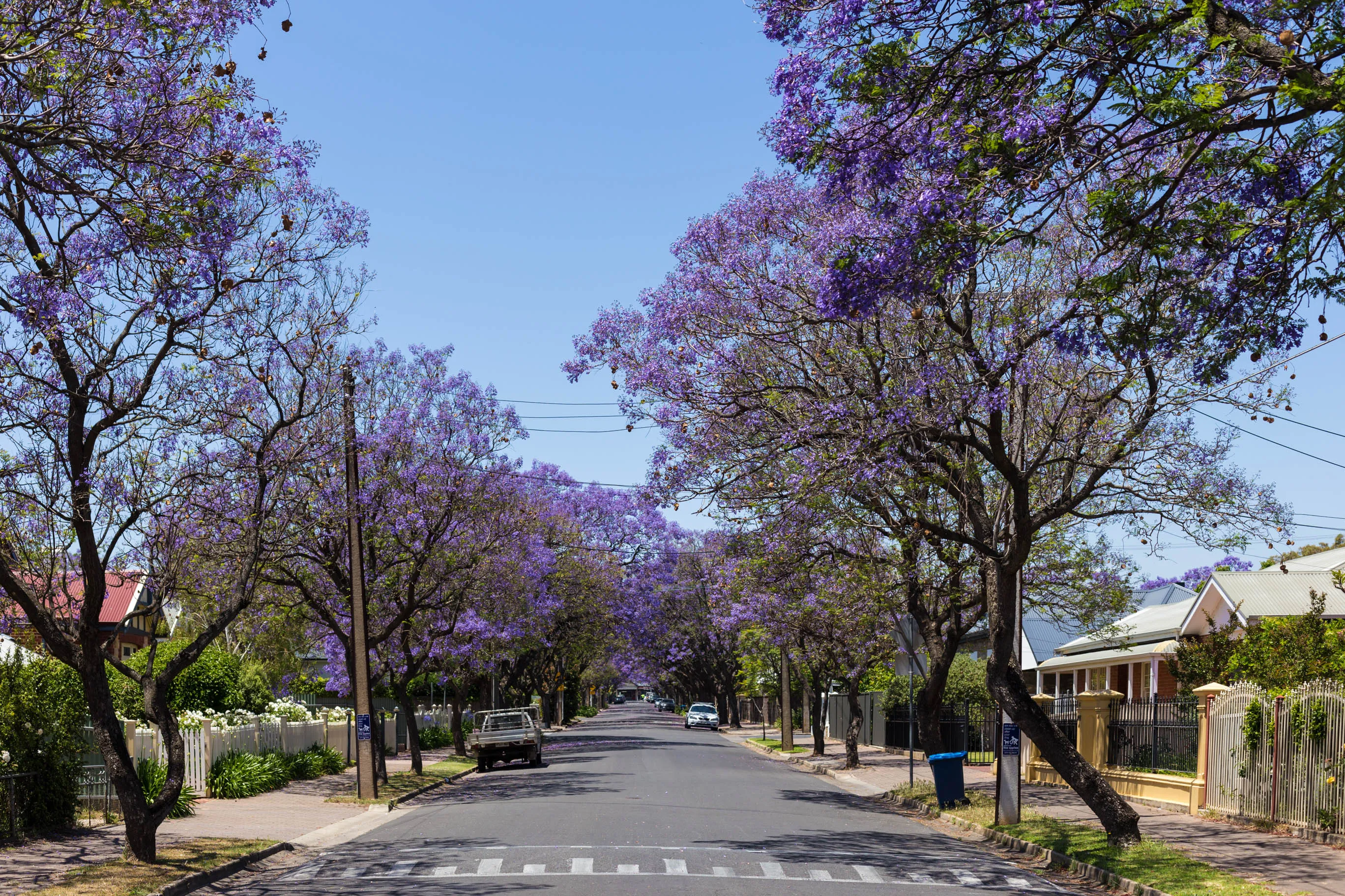 Retirement_Living_Clarence_Park_Southern_Cross_Care_outdoor