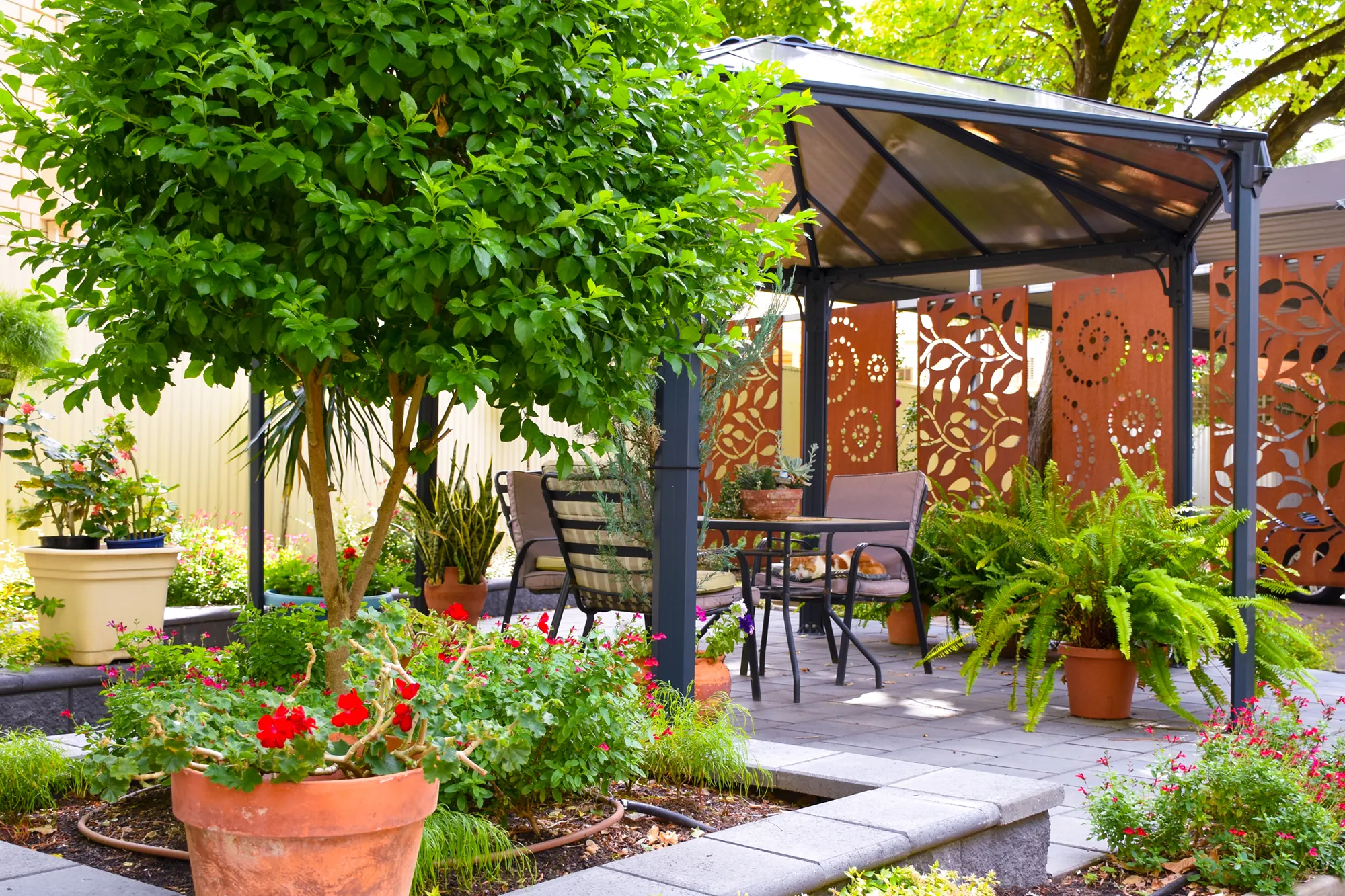 Retirement_Living_Norwood_Southern_Cross_Care_garden 