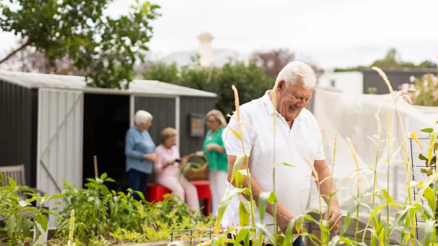 Male Resident In Community Garden At The Pines Retirement Living