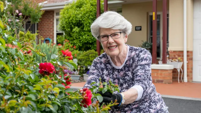 Female Resident Picking Roses At Bedford Heights Estate Retirement Living
