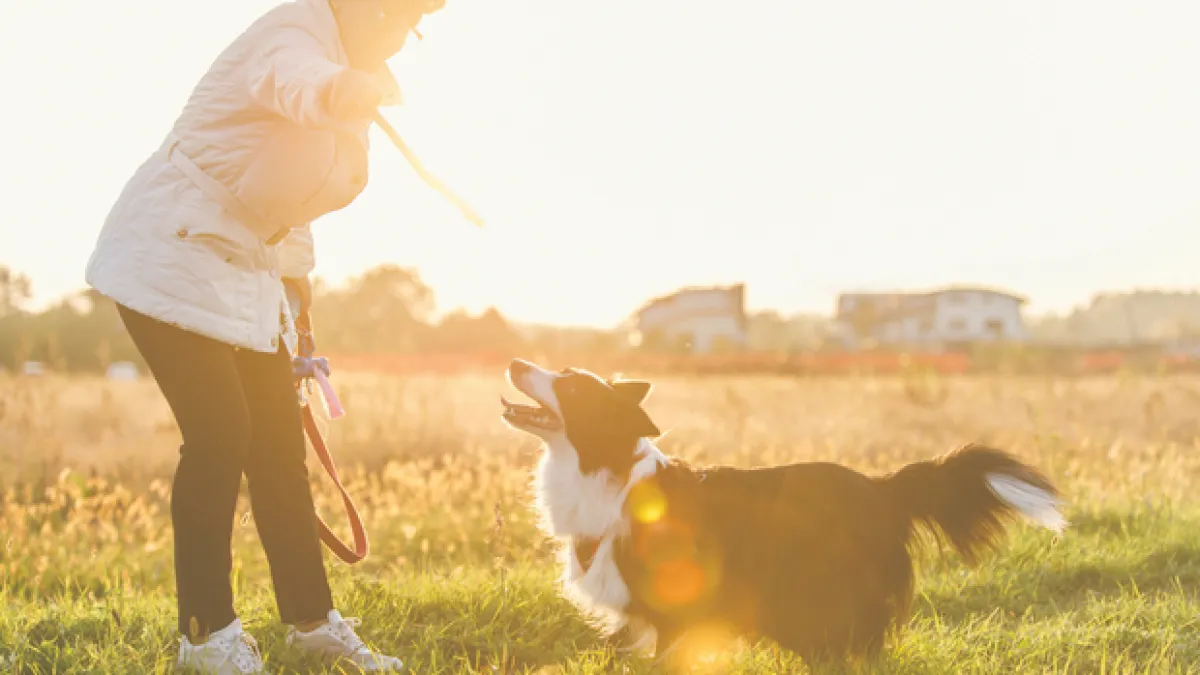 Perk up your life with a pet