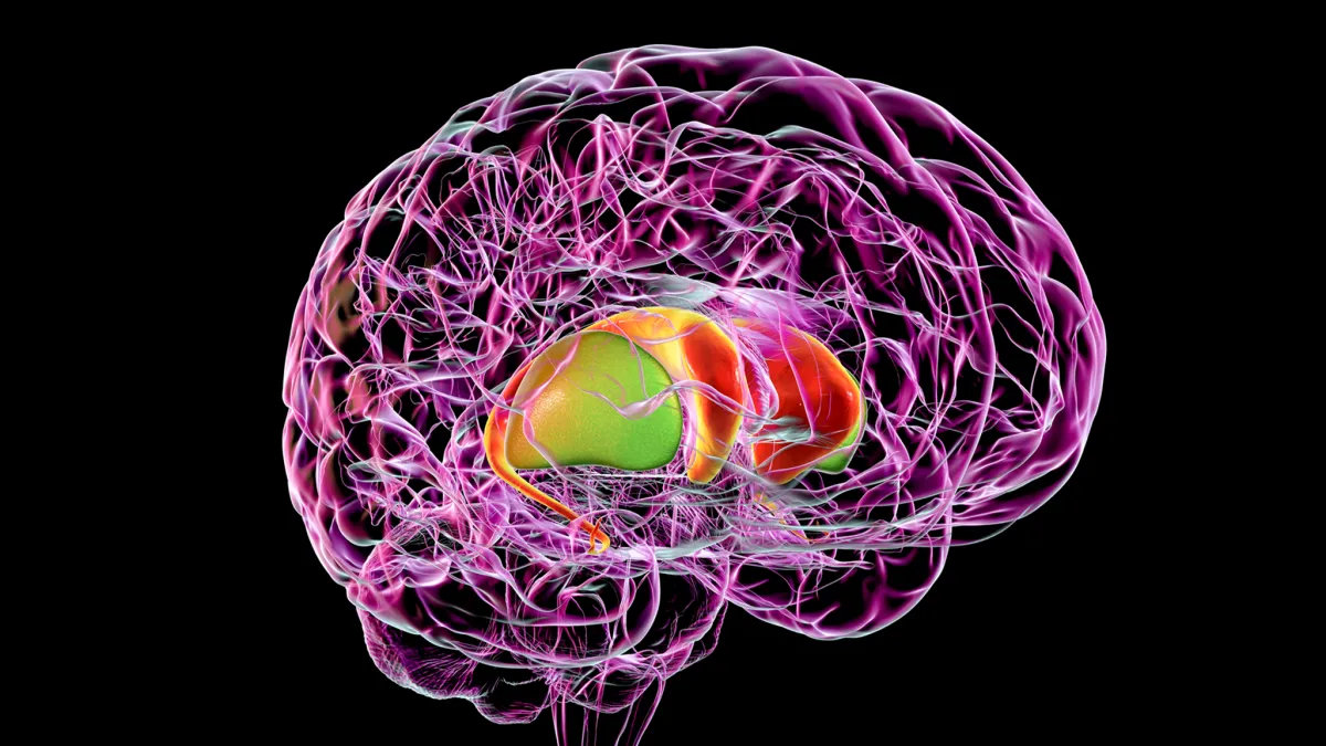Sleep and Dementia - Unveiling the Challenges