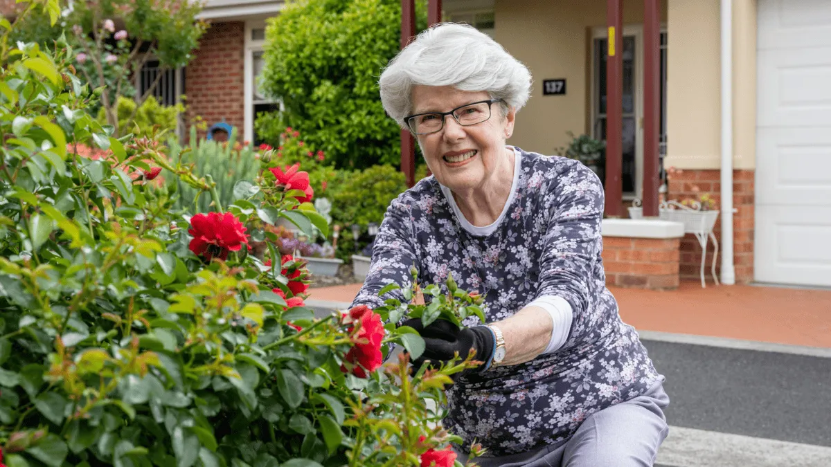 Lady Picking Out Roses From Garden