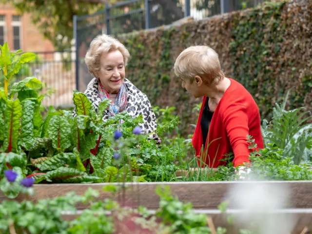 Retirement_Living_Carmelite_Southern_Cross_Care_garden