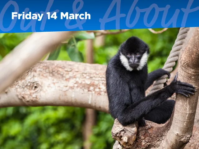 An Afternoon at Adelaide Zoo
