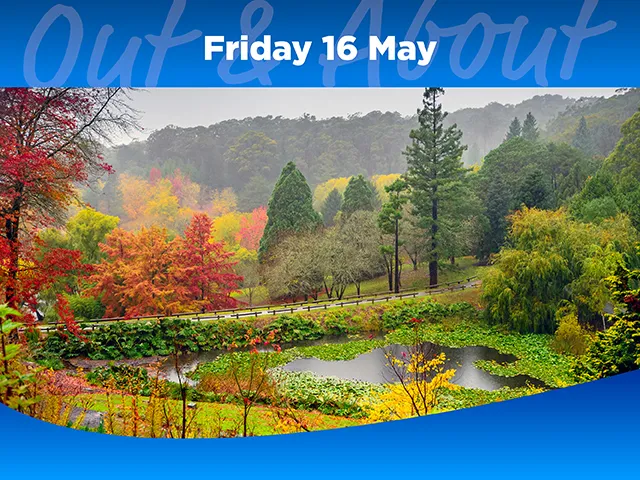 Autumn at Mount Lofty