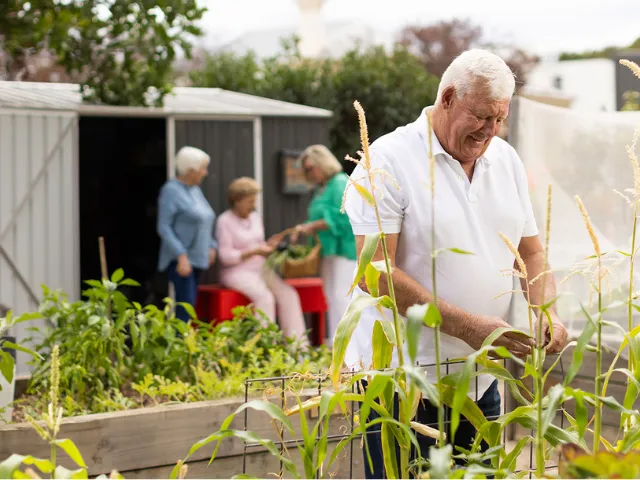 Residents In Community Garden At The Pines Retirement Living