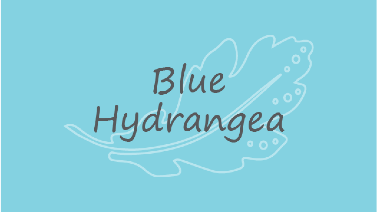 Blue Hydrangea 640x480