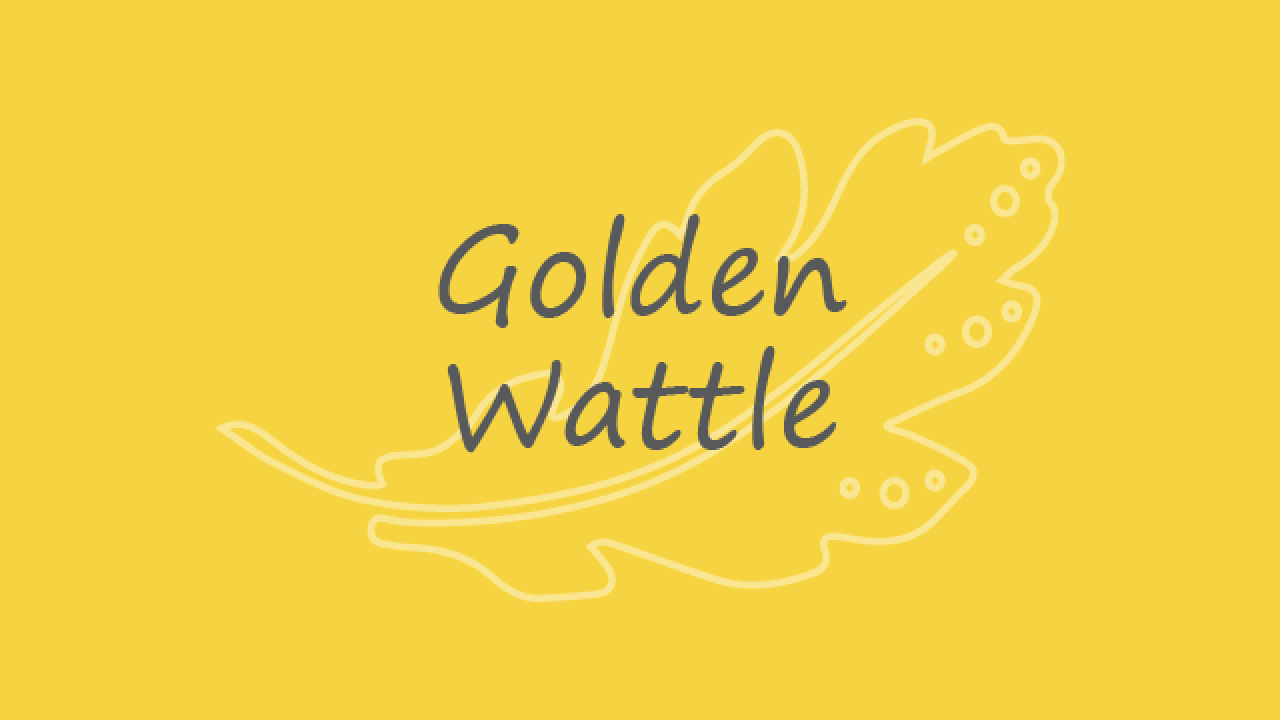 Golden Wattle 640x480