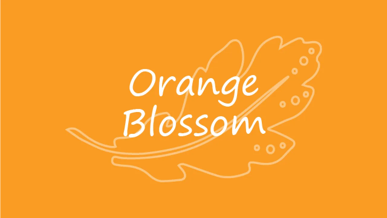 Orange Blossom 640x480