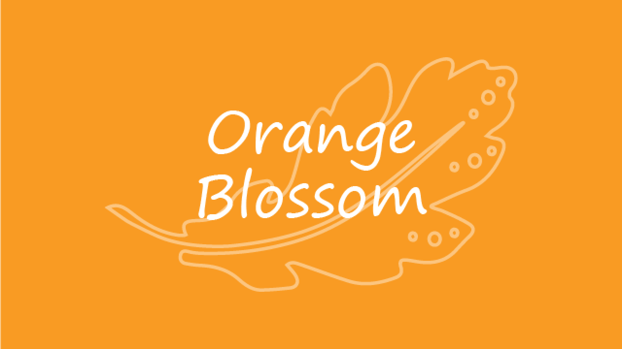 Orange Blossom 640x480