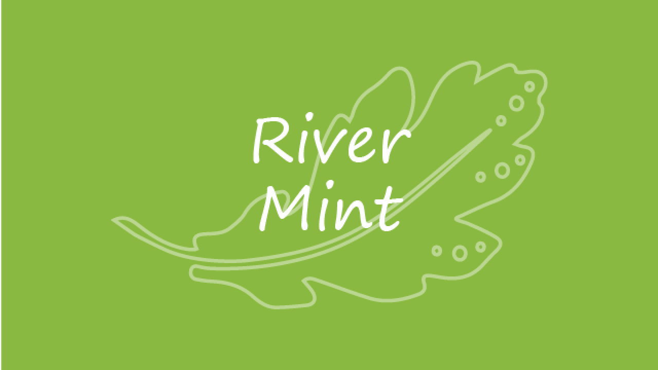 River Mint 640x480