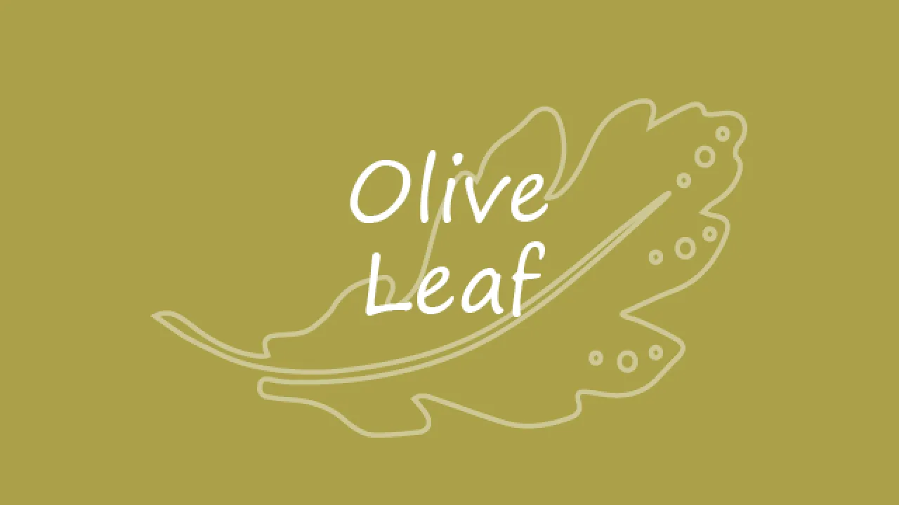 Olive Leaf 640x480