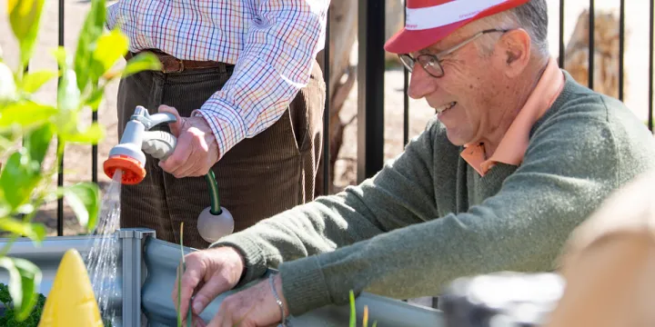 Gardening 1200x600-1