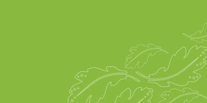 River Mint BanMob 1200x600