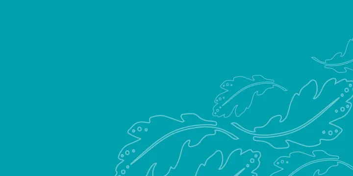 Teal Pea BanMob 1200x600