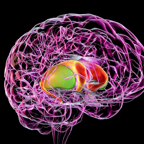 Image for Sleep and Dementia: Unveiling the Challenges