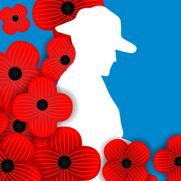 Image for Lest we forget - a time to remember
