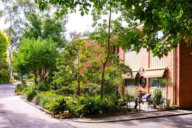 vRetirement_Living_Norwood_Southern_Cross_Care_garden 