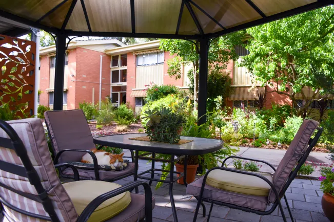Retirement_Living_Norwood_Southern_Cross_Care_garden