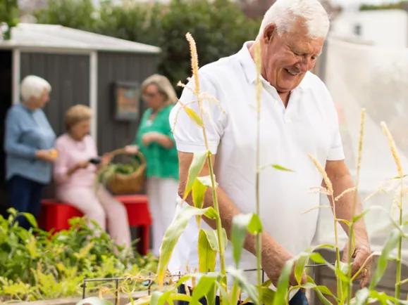 The Pines Residents In Community Garden