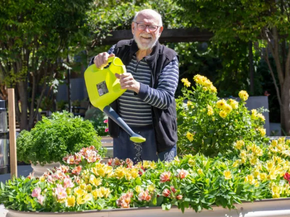 Male Resident Watering Flowers In Community Garden At Southern Cross Care Residential Care Home
